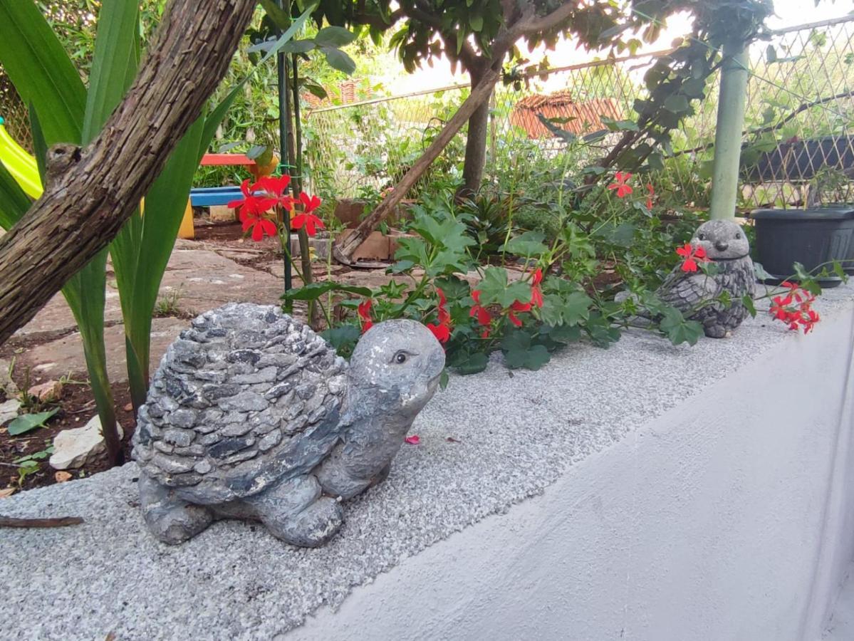 Apartment With Garden Vela Luka Bagian luar foto