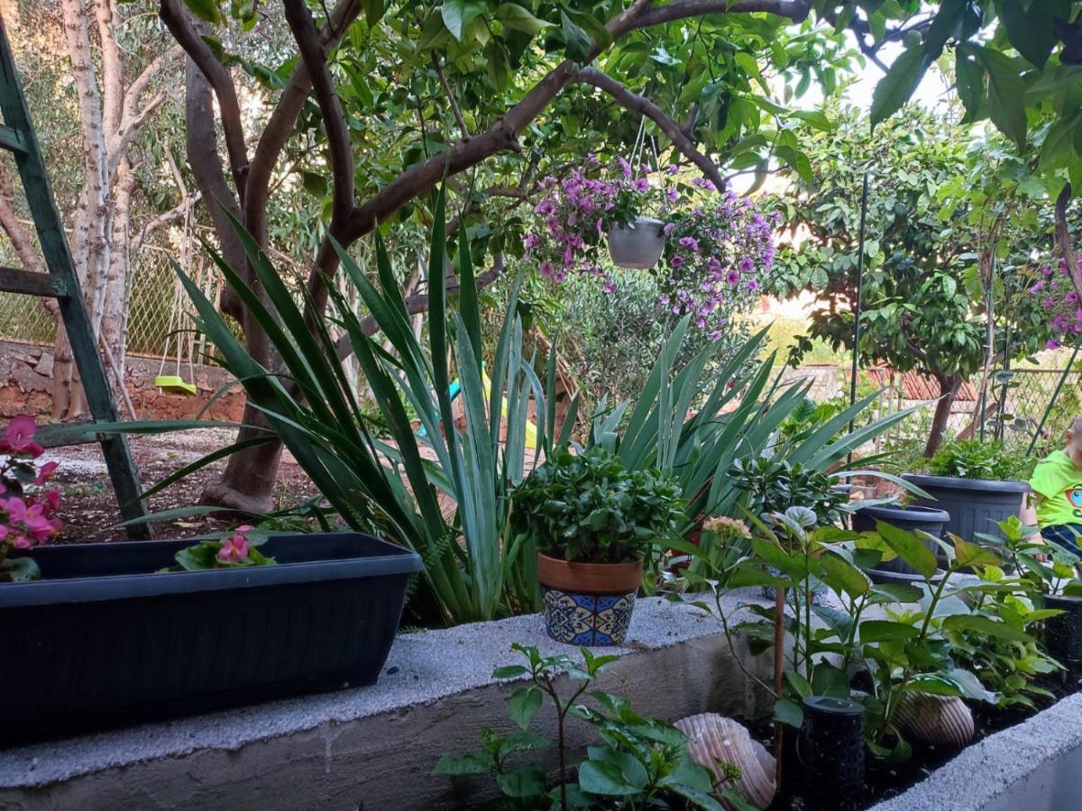 Apartment With Garden Vela Luka Bagian luar foto